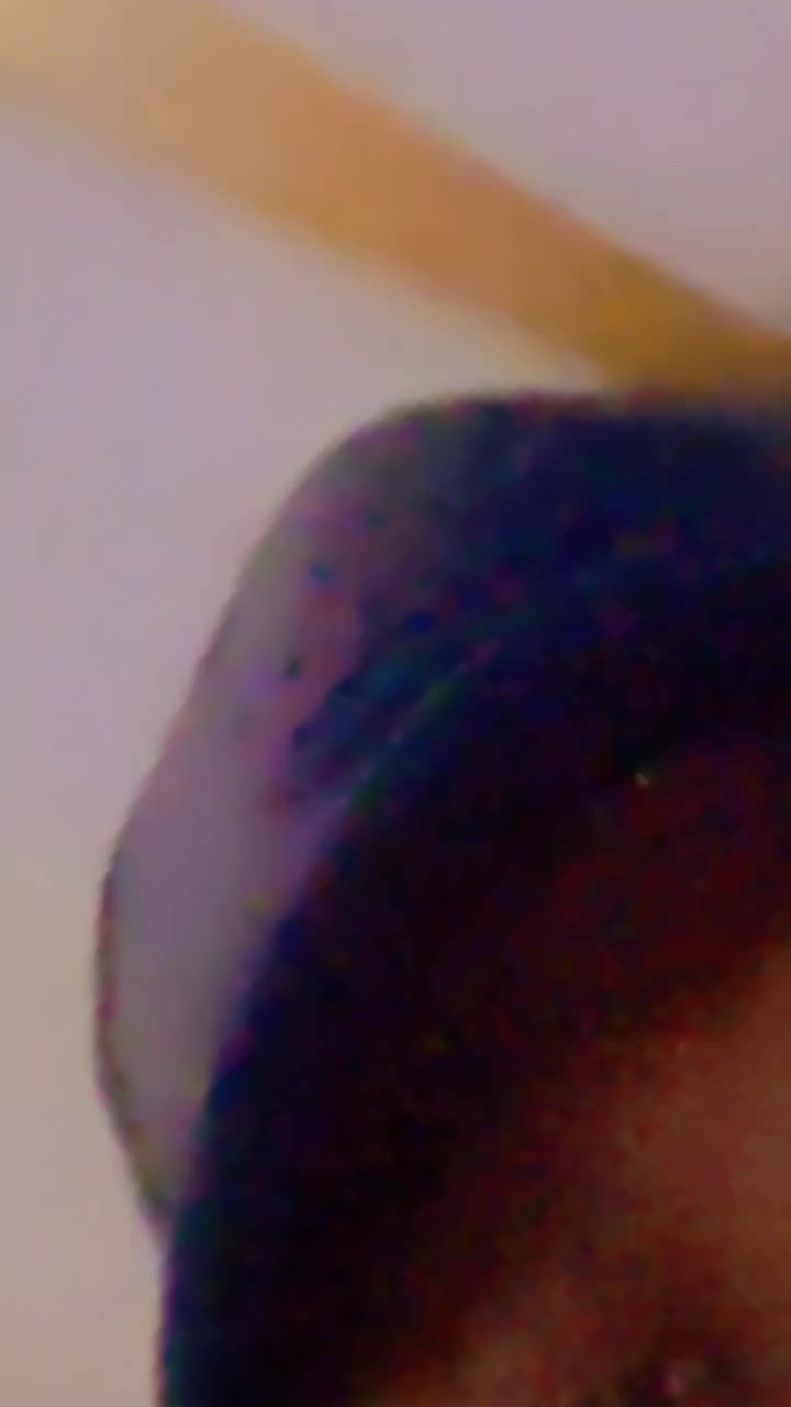 @nathunimukhiya69