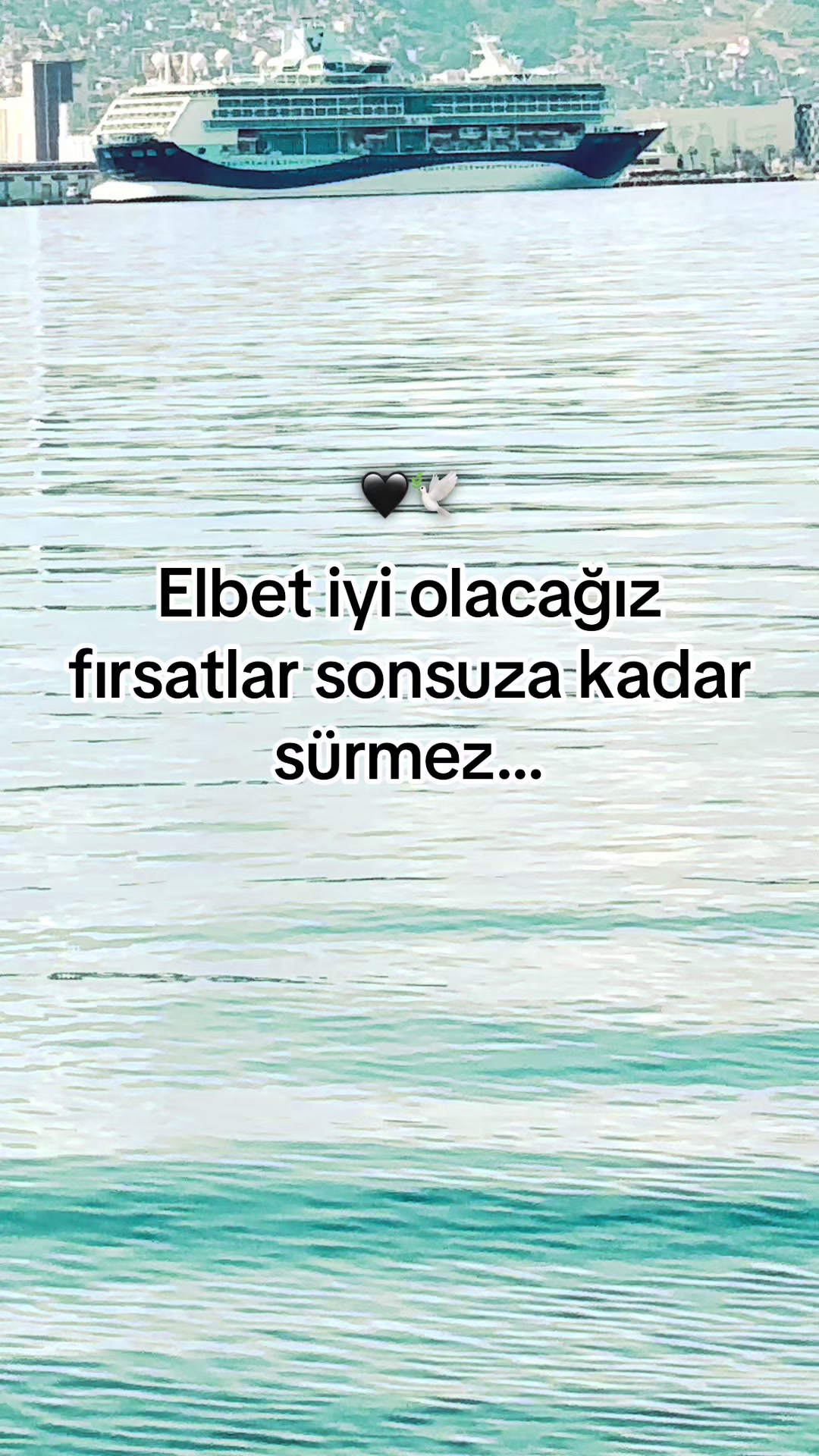 @storhanem63.01