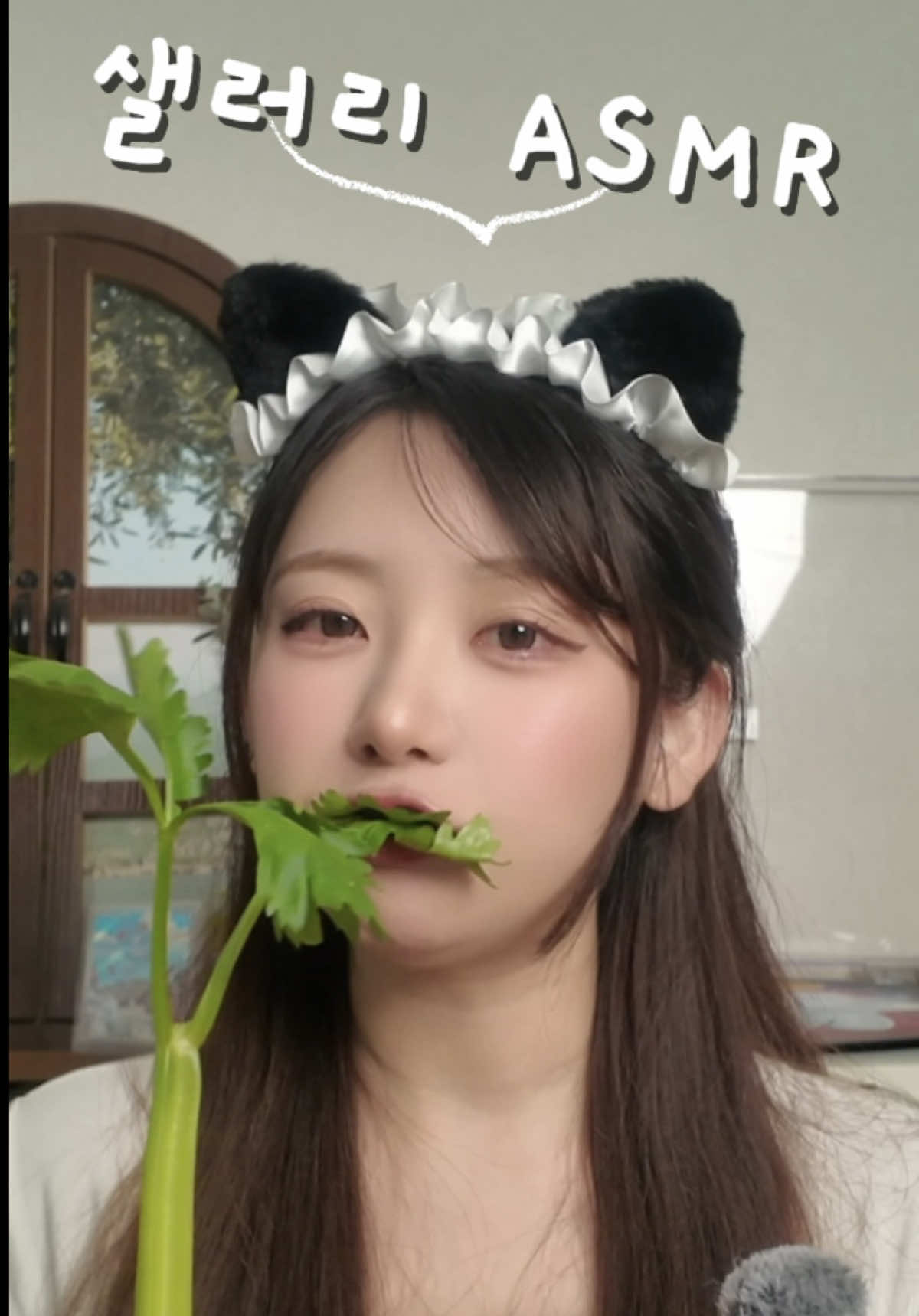 @Ariใใ์๋ฆฌ๐ต๐บ