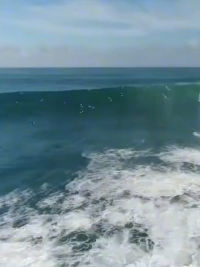 @龍二🗽🌊Yokohoma·Shonan🏄️