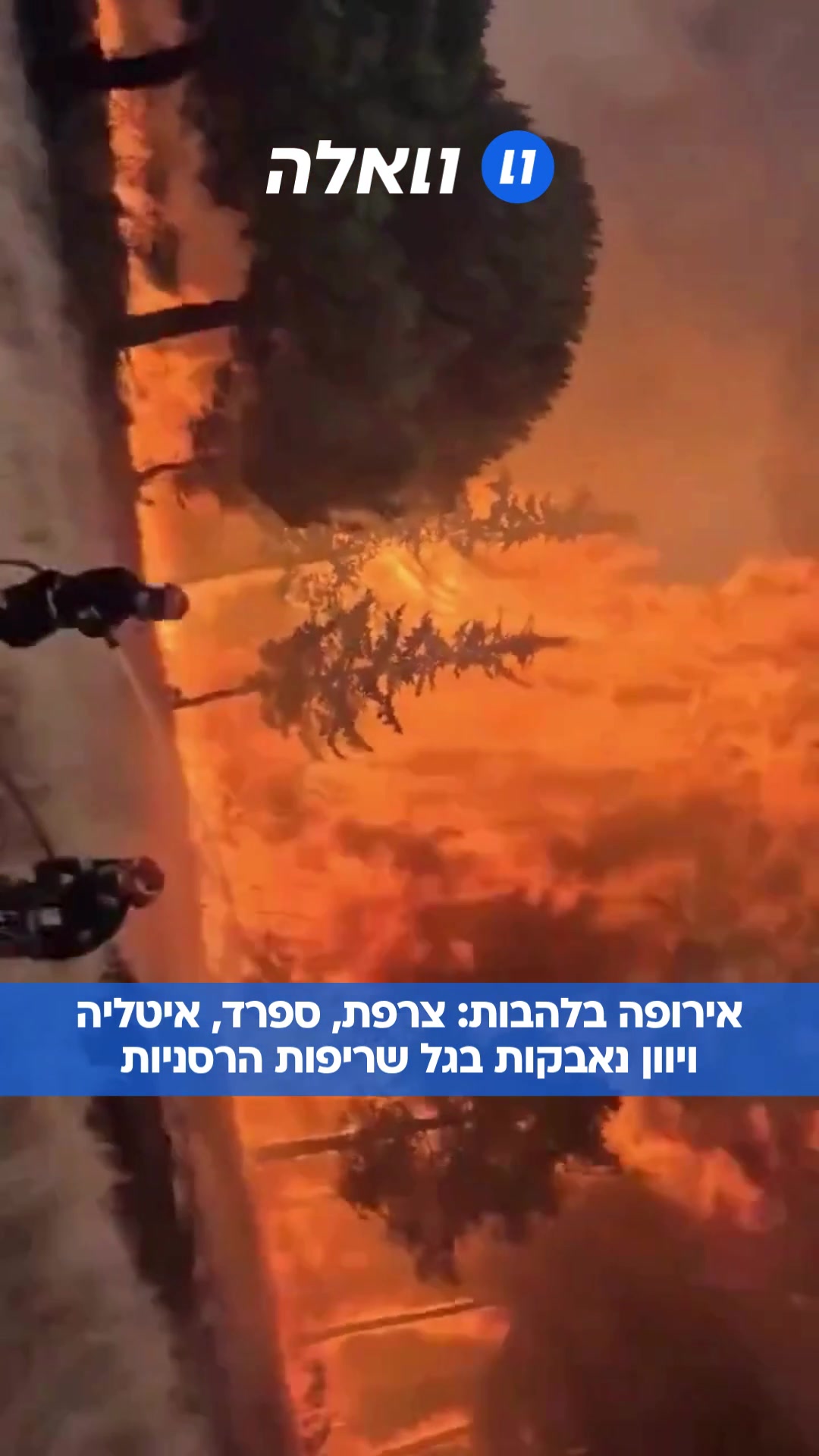 @וואלה