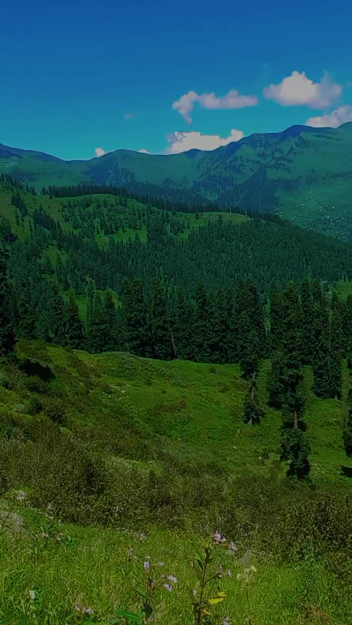 @riazmagray