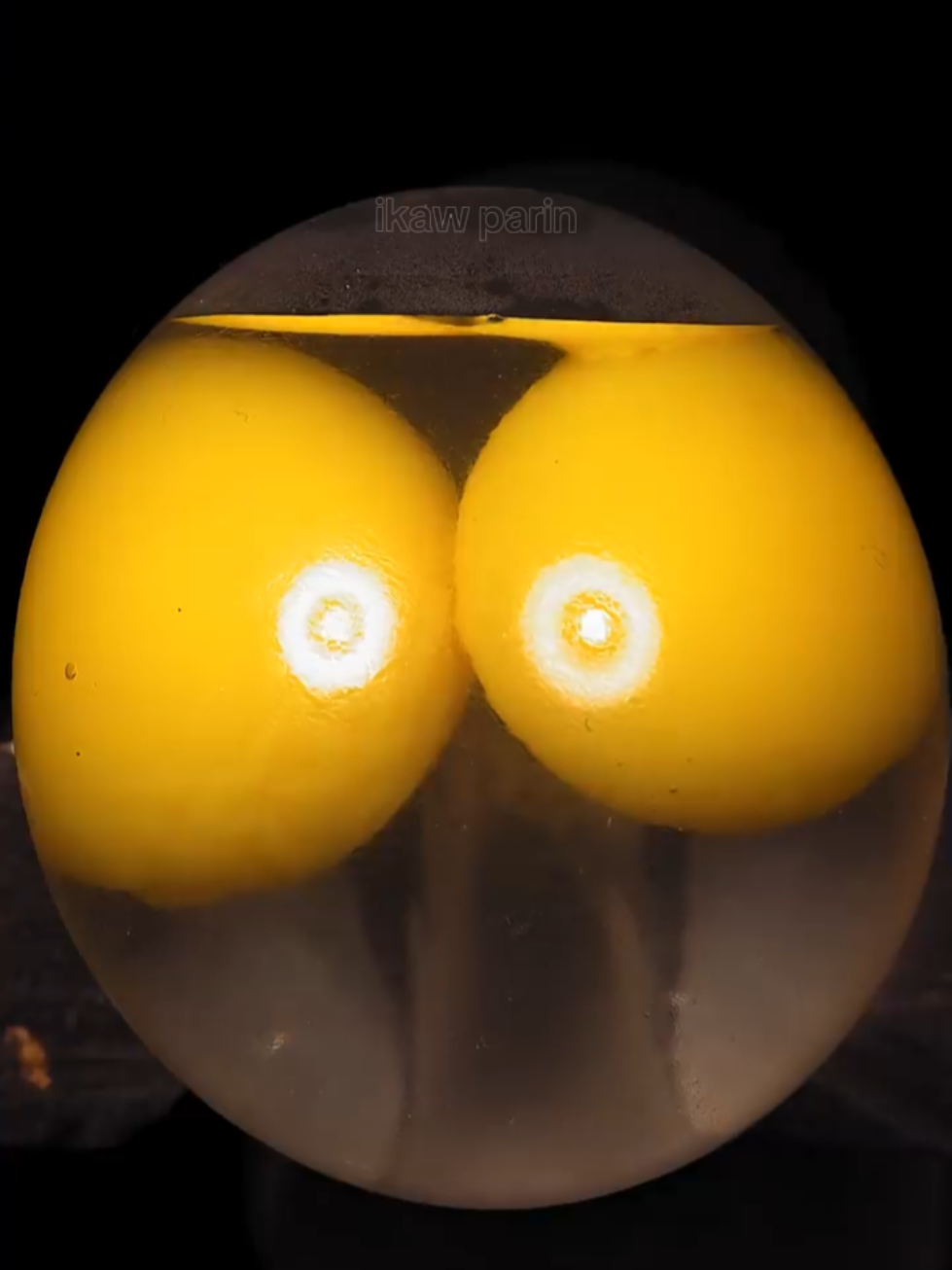 @anzoee