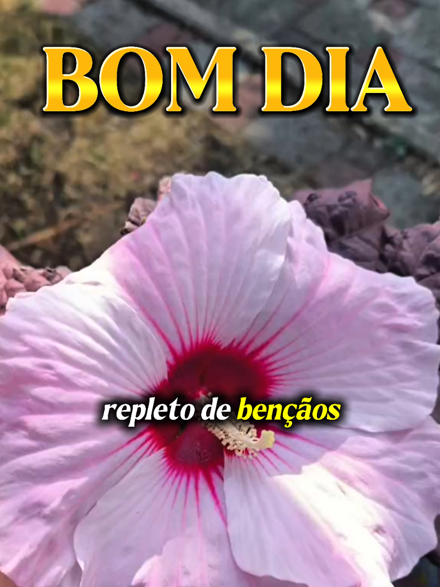 @PromessadeDeus91