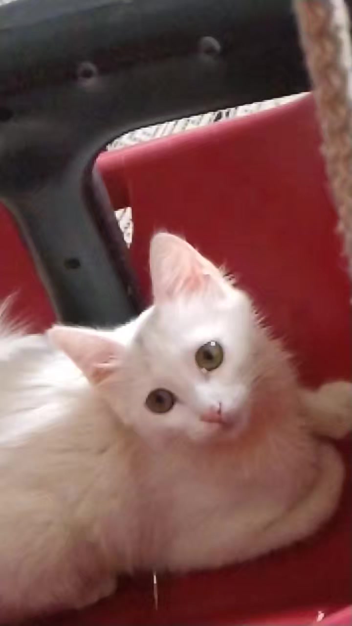 @أُنثى القمَر🎀🧸