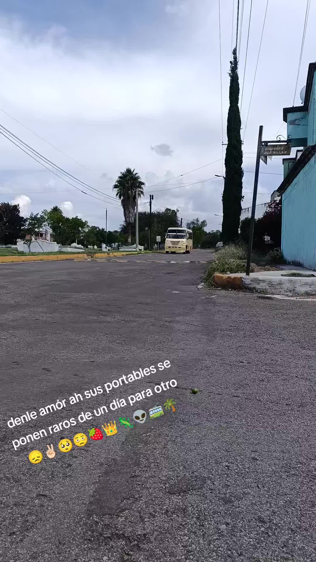 @🍓👑Cachondito'ssvip🔥🌴