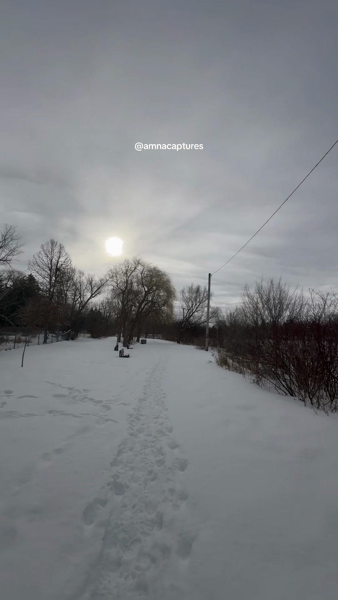 @Nature lover  🇨🇦