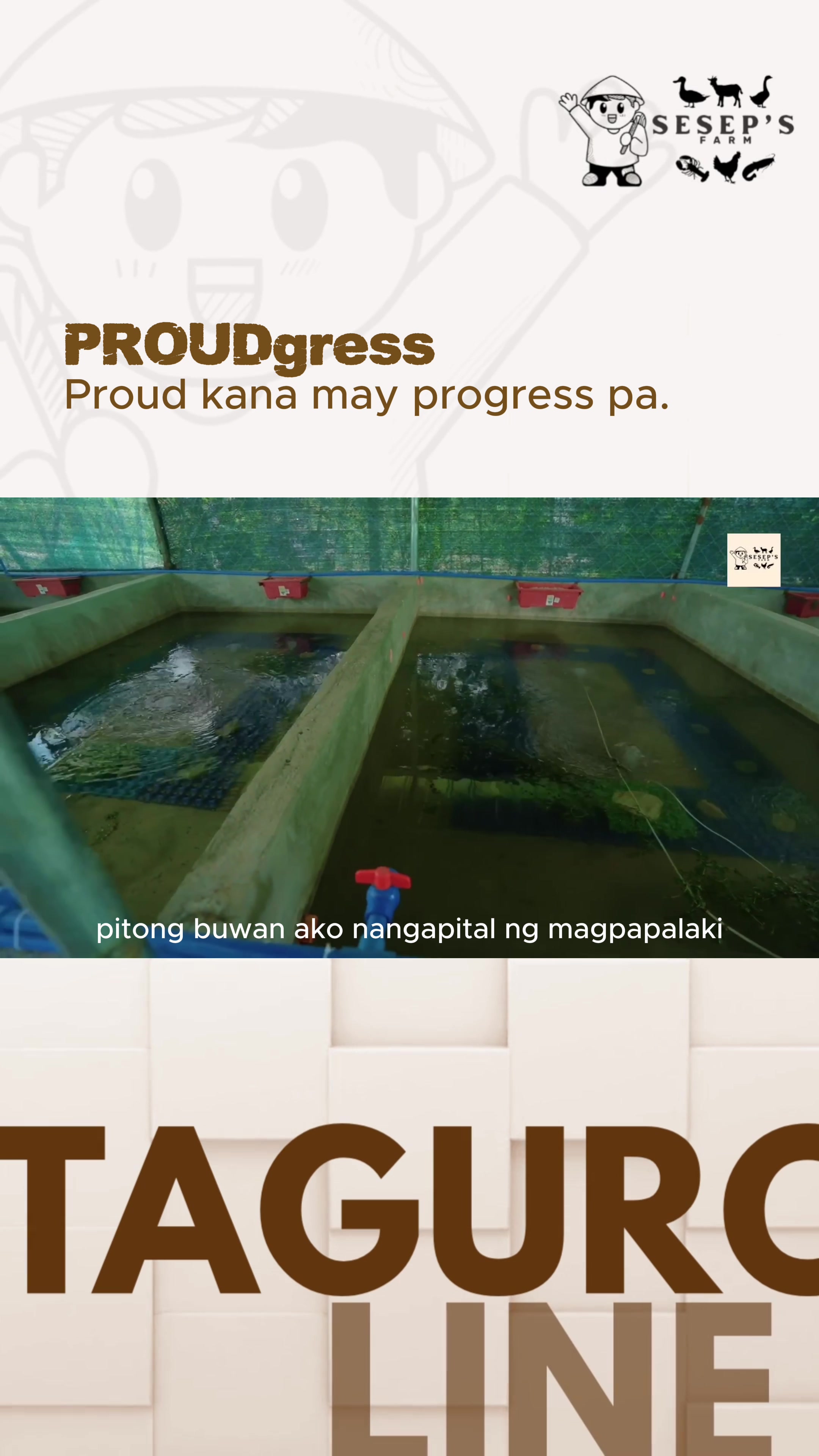 @Seseps Farm
