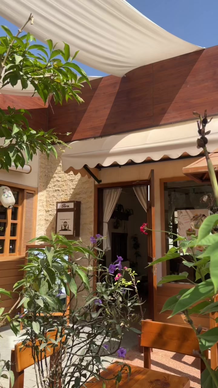 @جديد القصيم 🌴