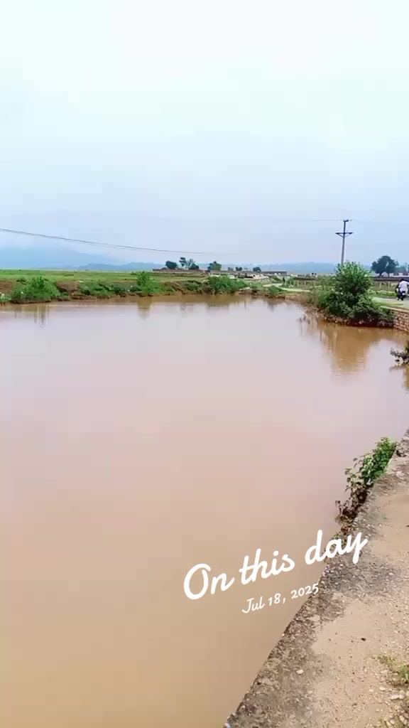 @faizali