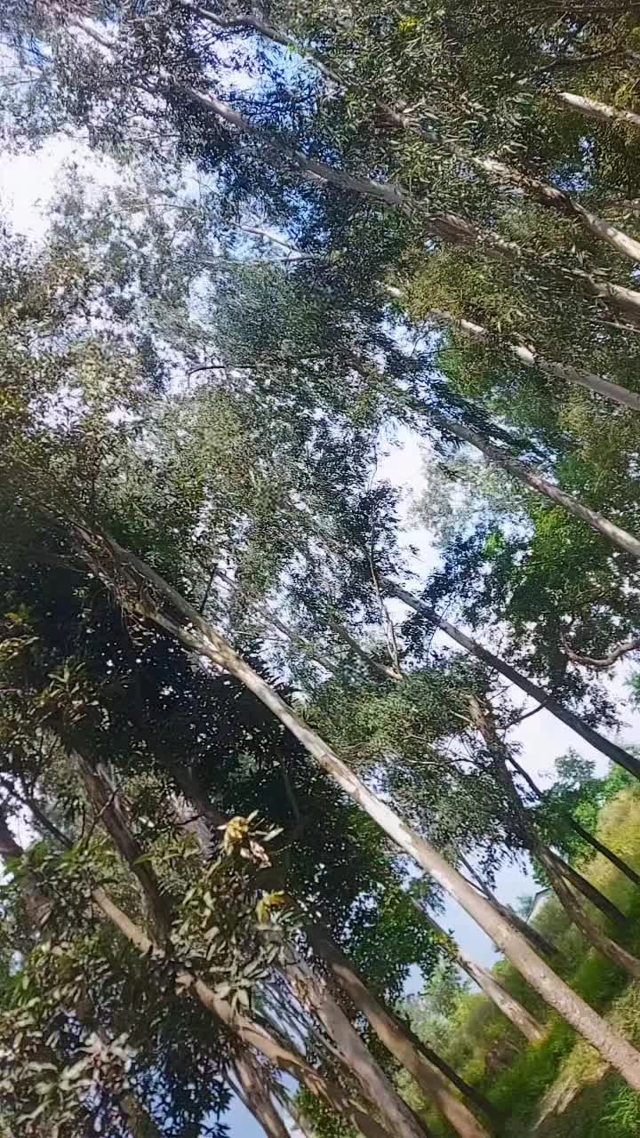 @𝐾𝑎𝑟𝑖𝑠ℎ𝑚𝑎_𝐼𝑠 _𝐿❤️𝑣𝑒