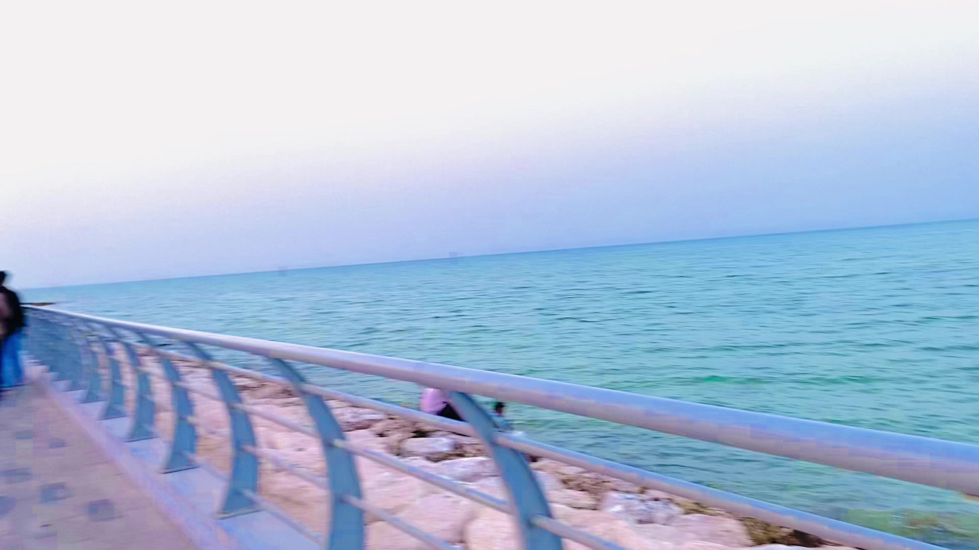 @tahreemali62