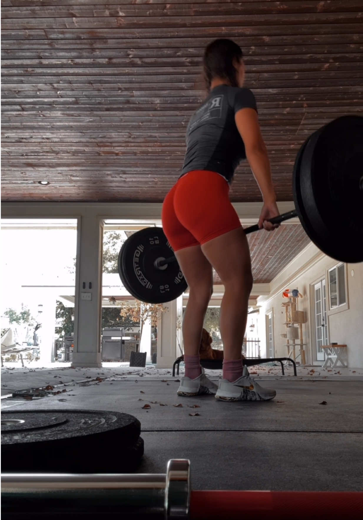 @MaybeDFit