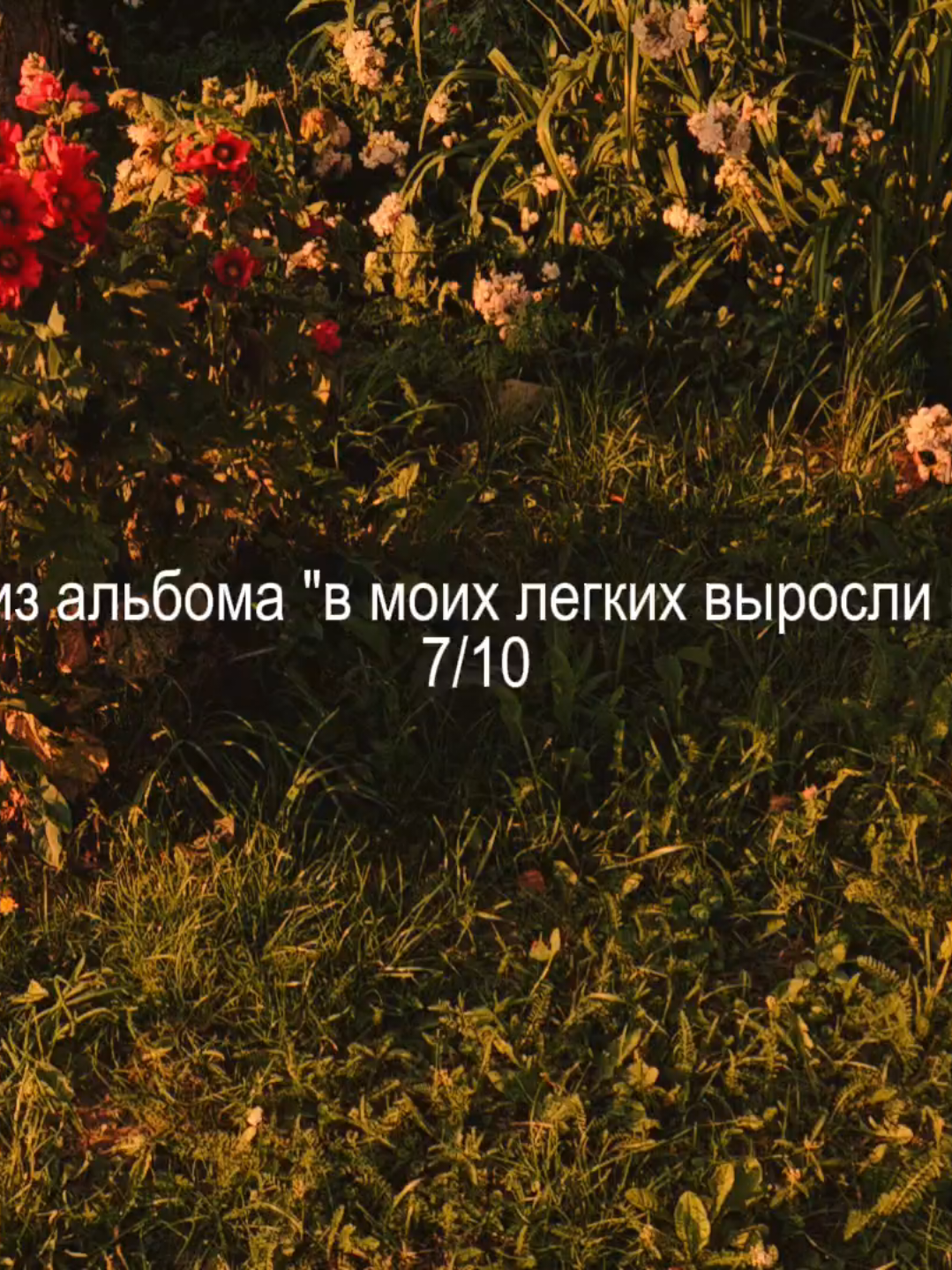 @ᴢxᴄᴜʀʀʏ♫︎
