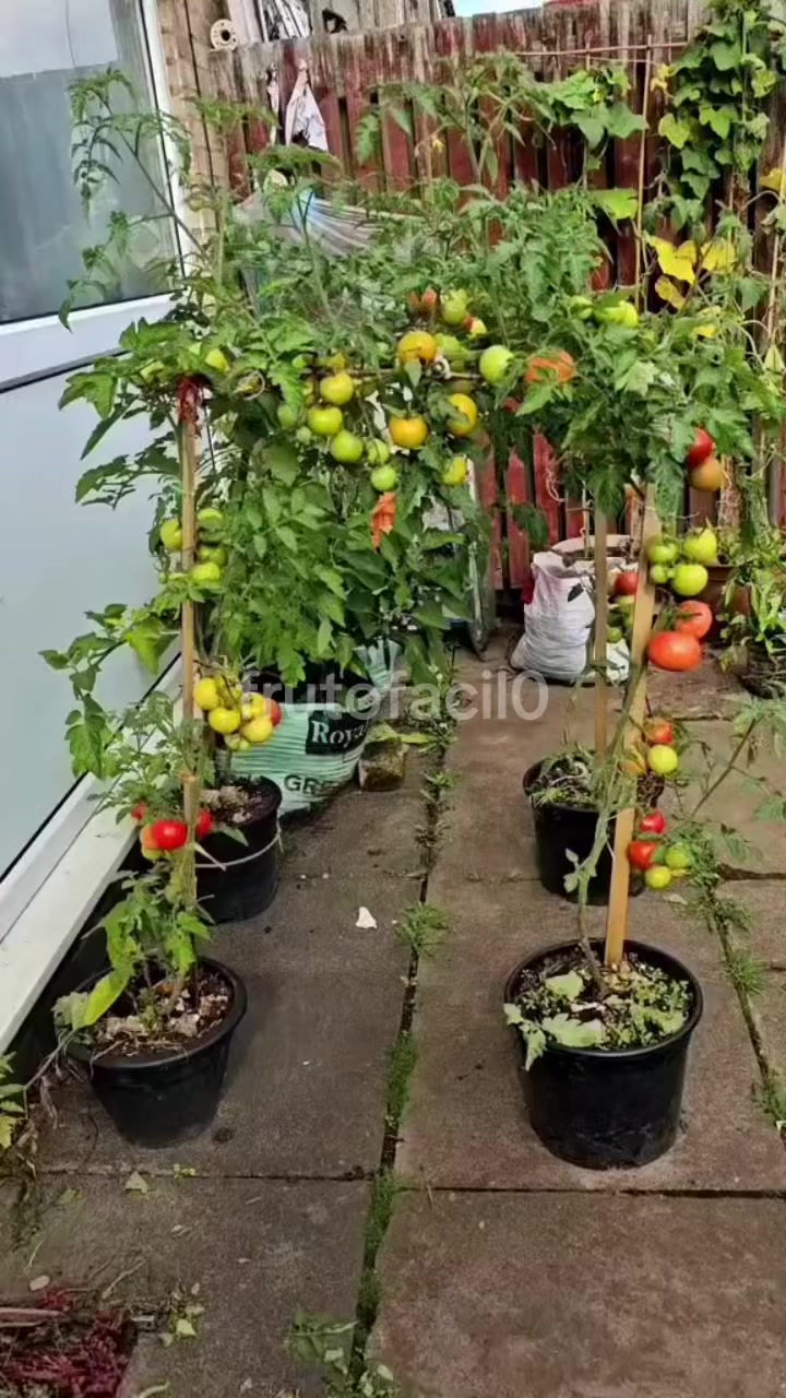 @Grow Garden