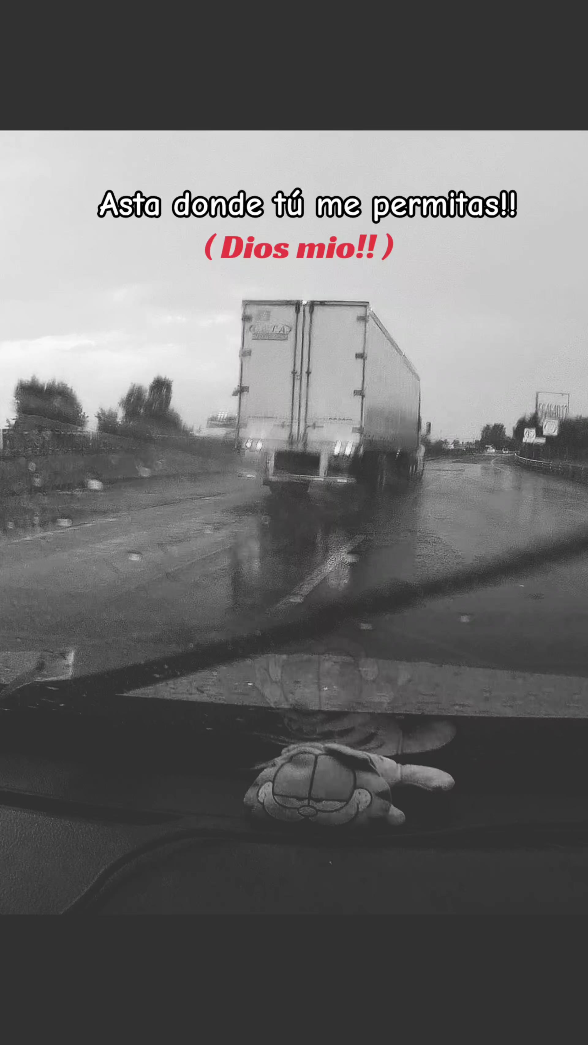 @osito alokadito 🙃🧸