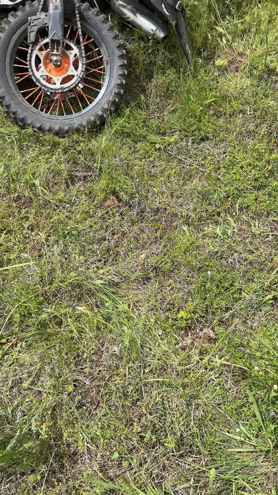 @валид