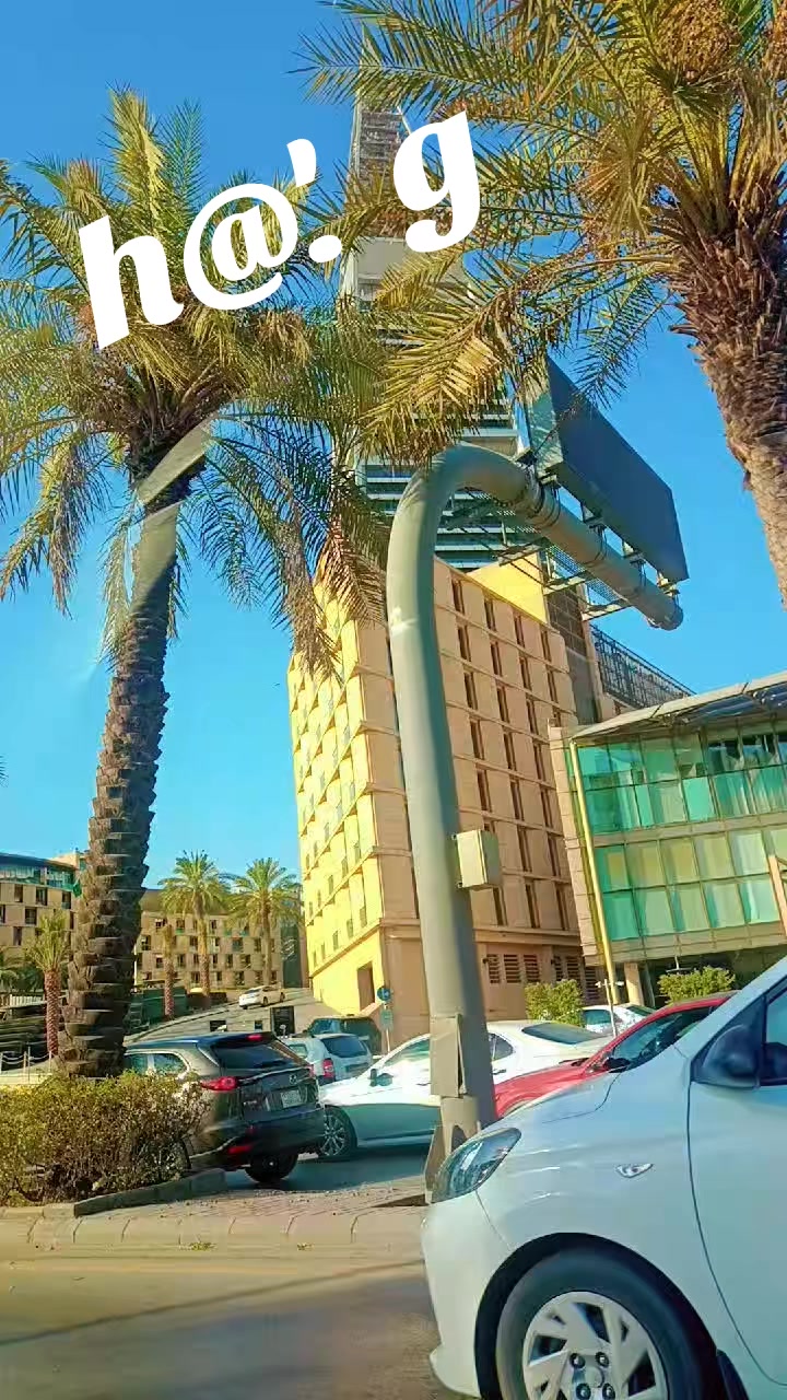 @چوہدری کاشف ولہ رائے🇸🇦