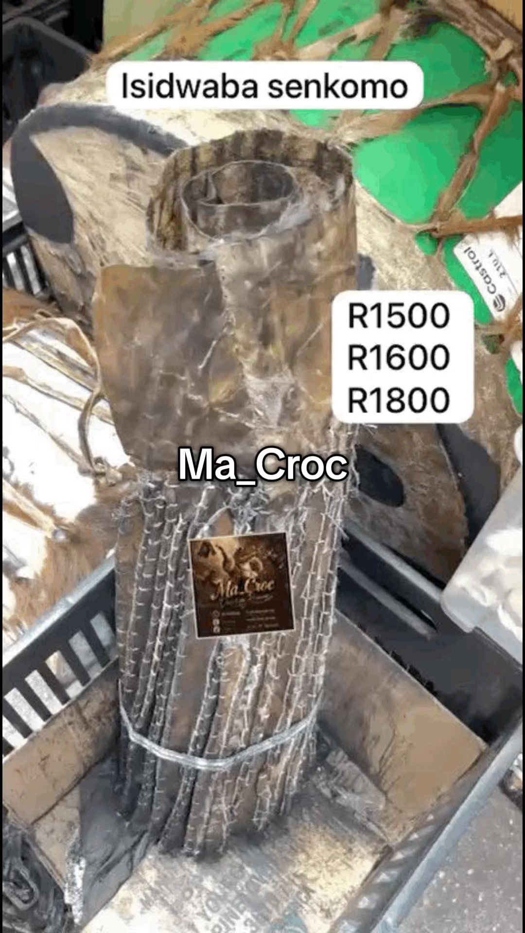 @Ma-CROC_Durban Runner