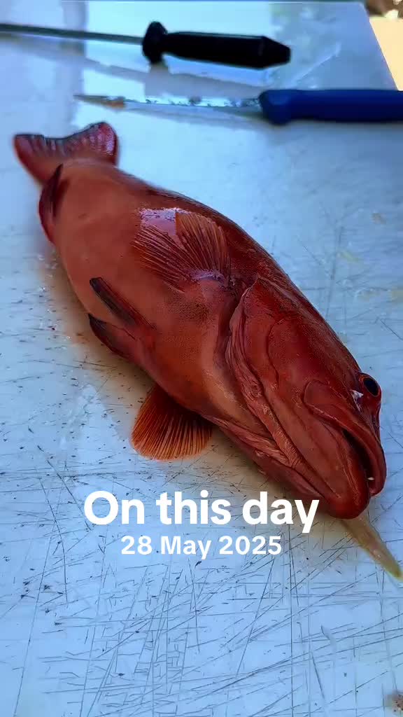 @OBM1770