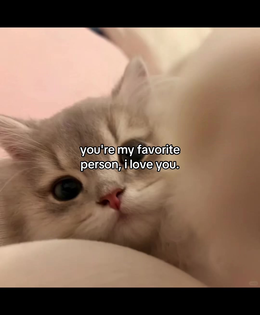 @deep.meow