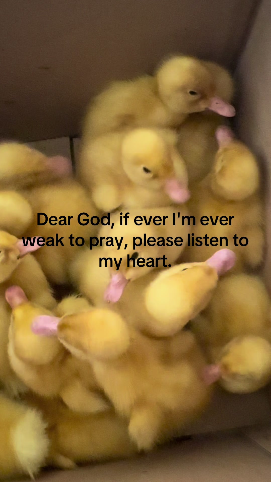 @Marius