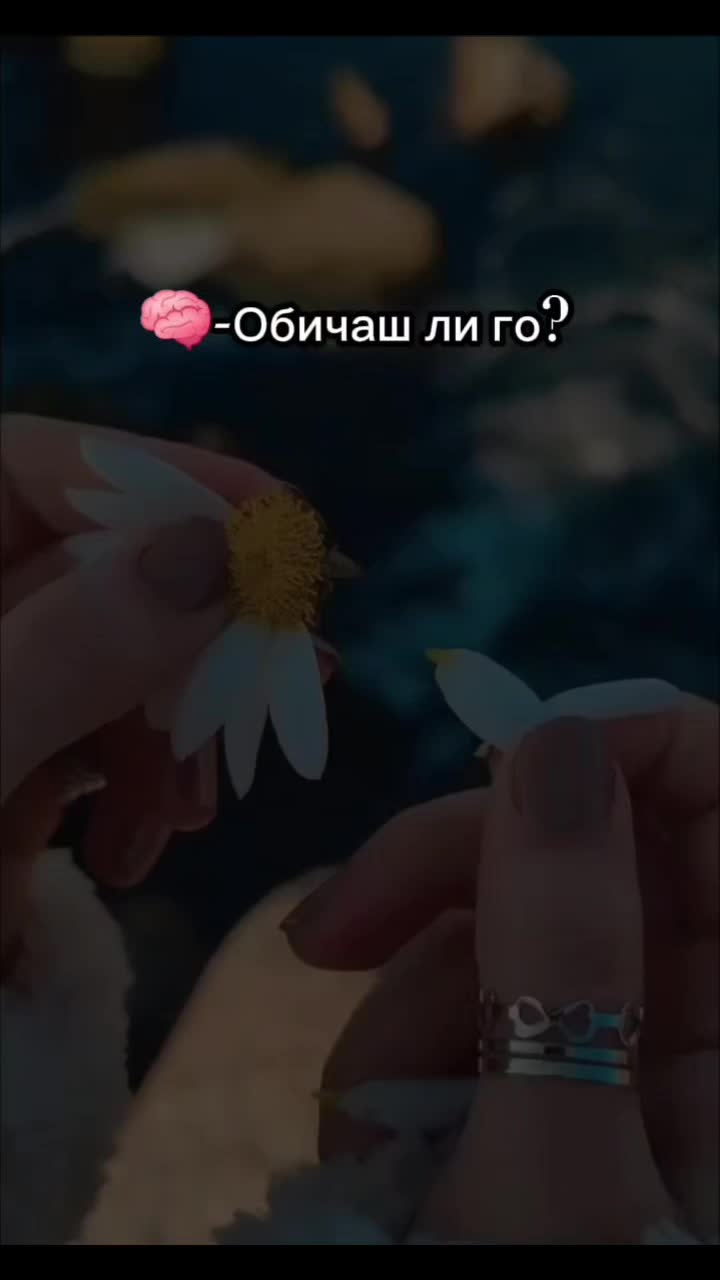 @✿❀ʙɪsᴇʀᴏᴠᴀ❀✿