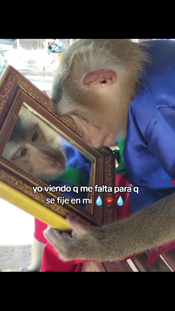 @Alan Jhoel