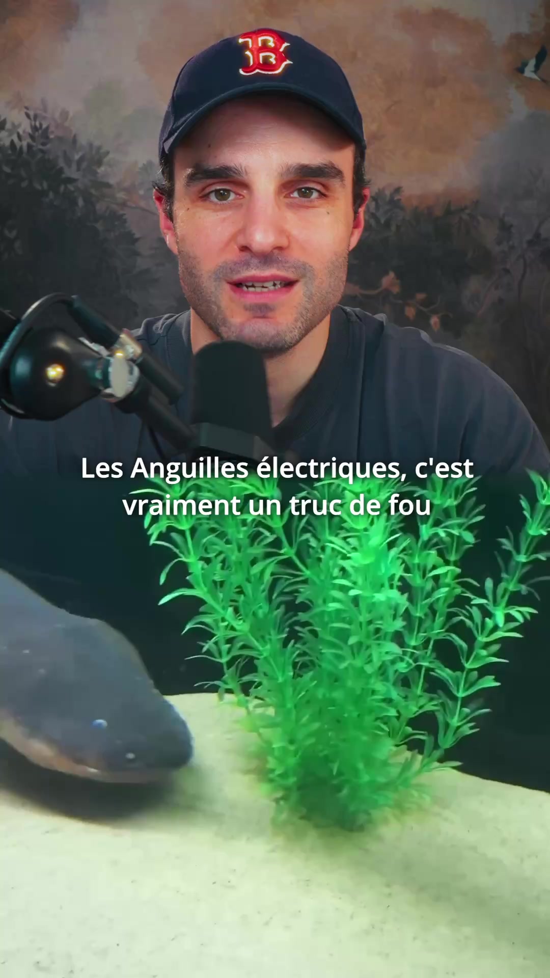 @Nozman