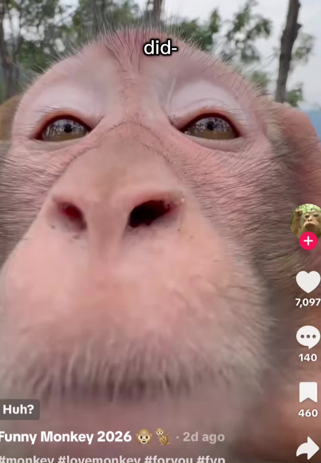 @eli
