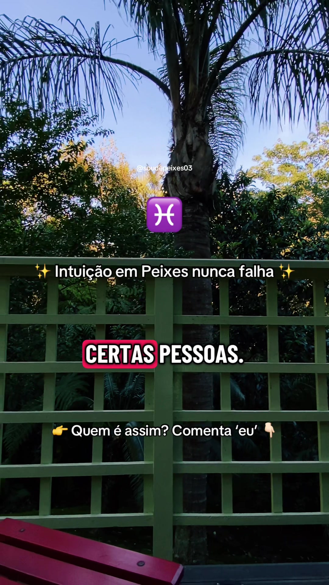 @soudepeixes