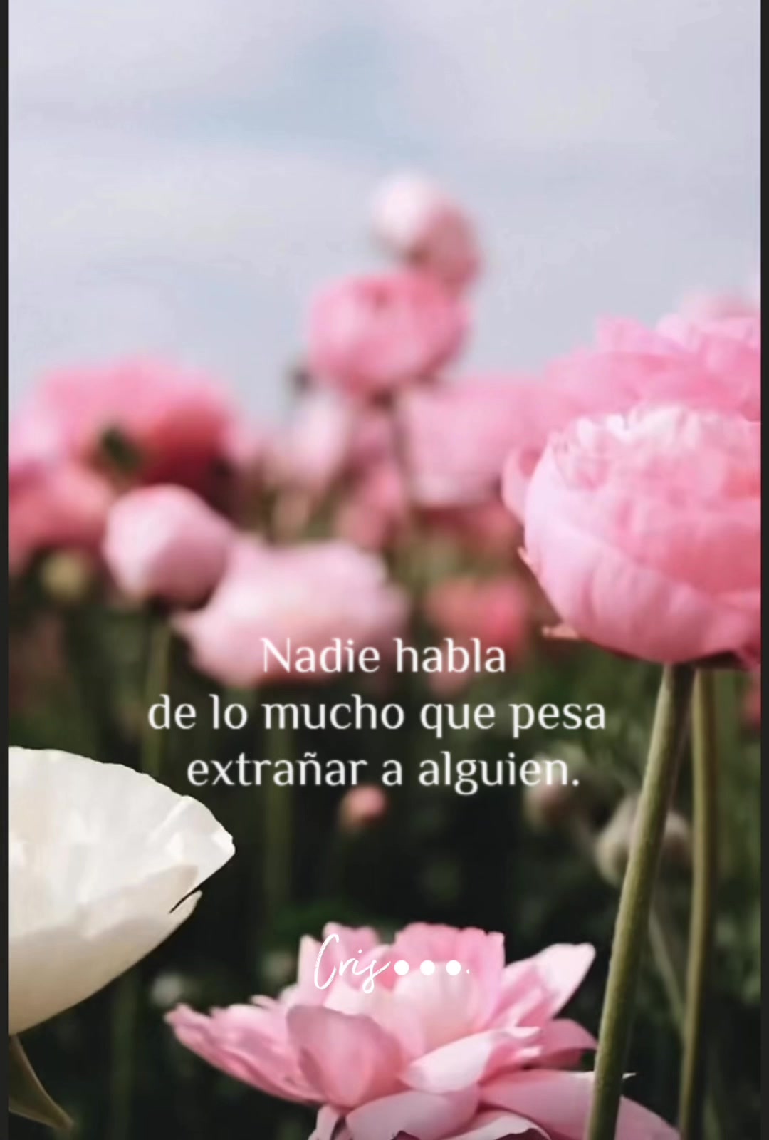 @❤️lamusica🎼