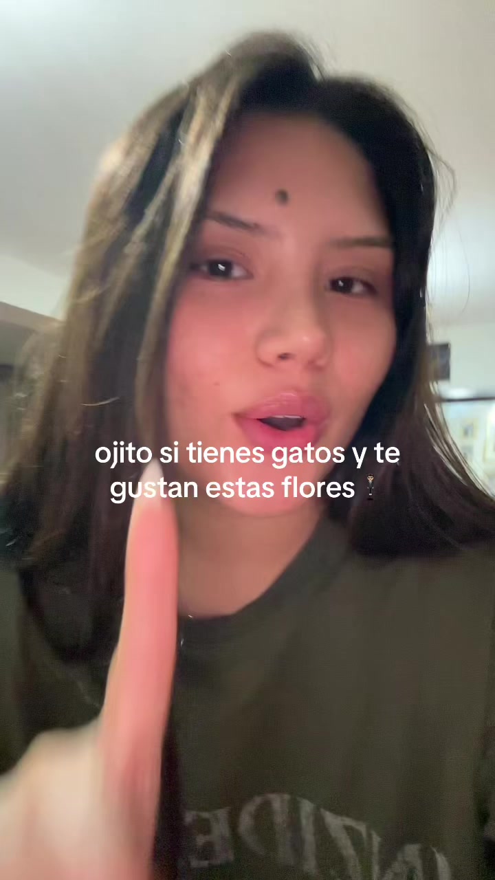 @Kmi