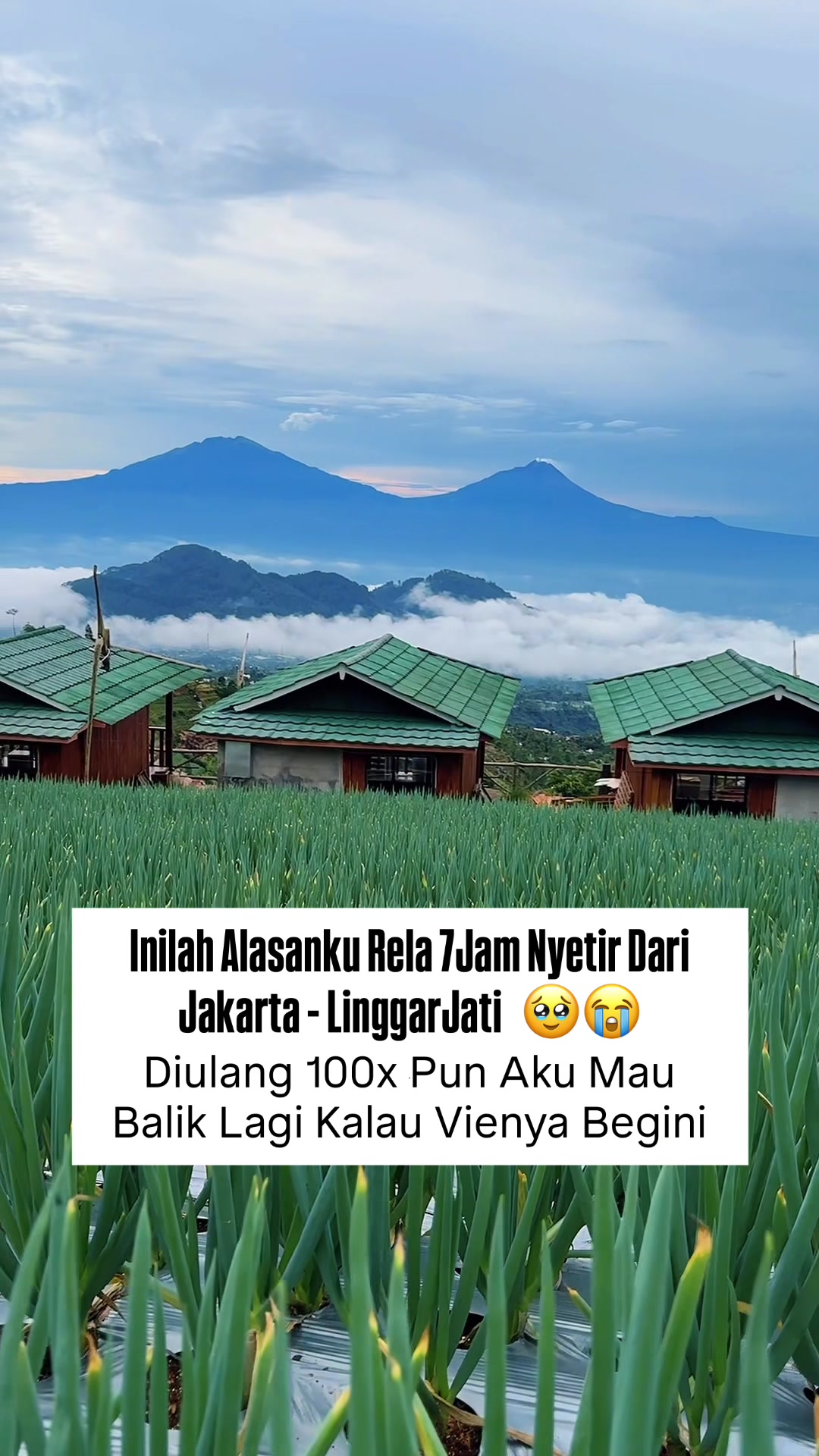 @Linggarjati Joglo