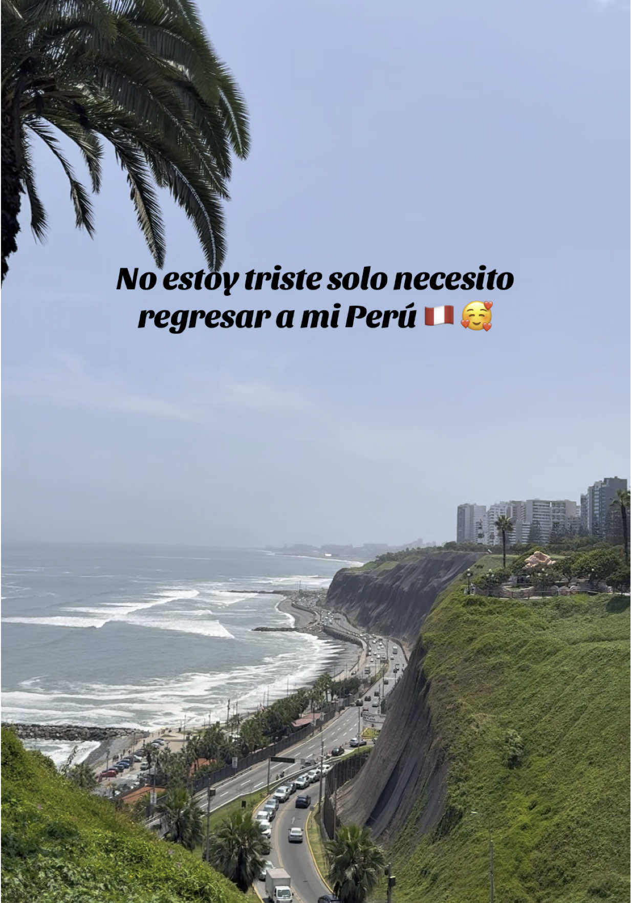 @Evelyn 🩶