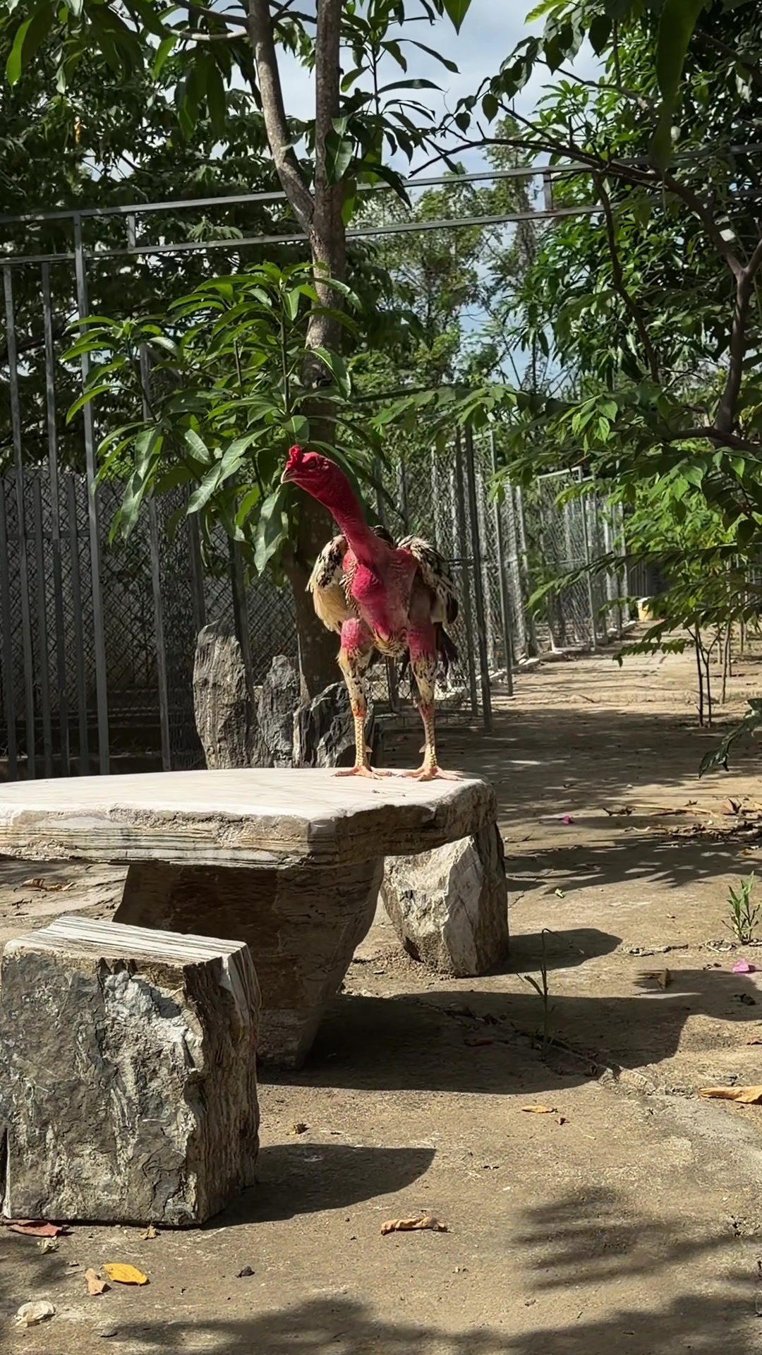 @Quốc kh&aacute;nh