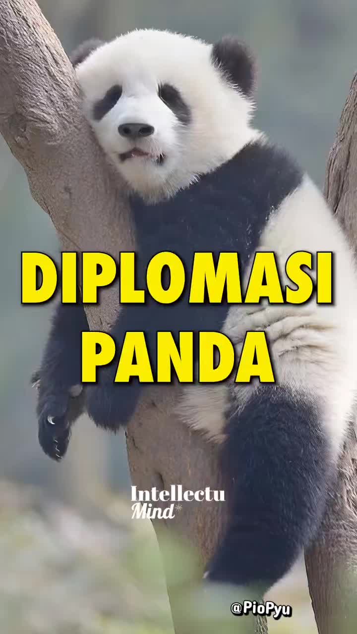 @Pio Pyu