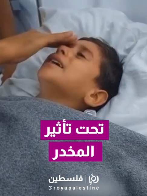@Royapalestine رؤيا فلسطين