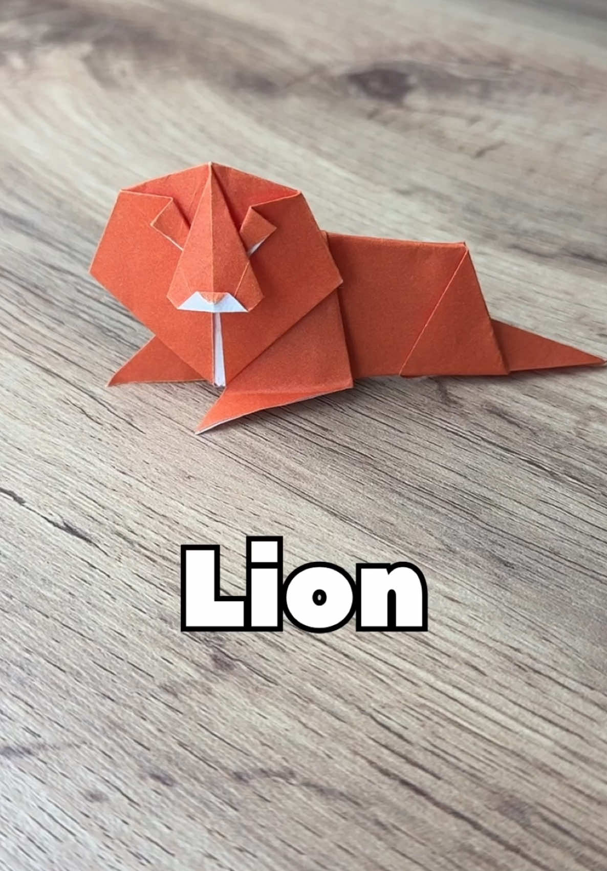 @origami world