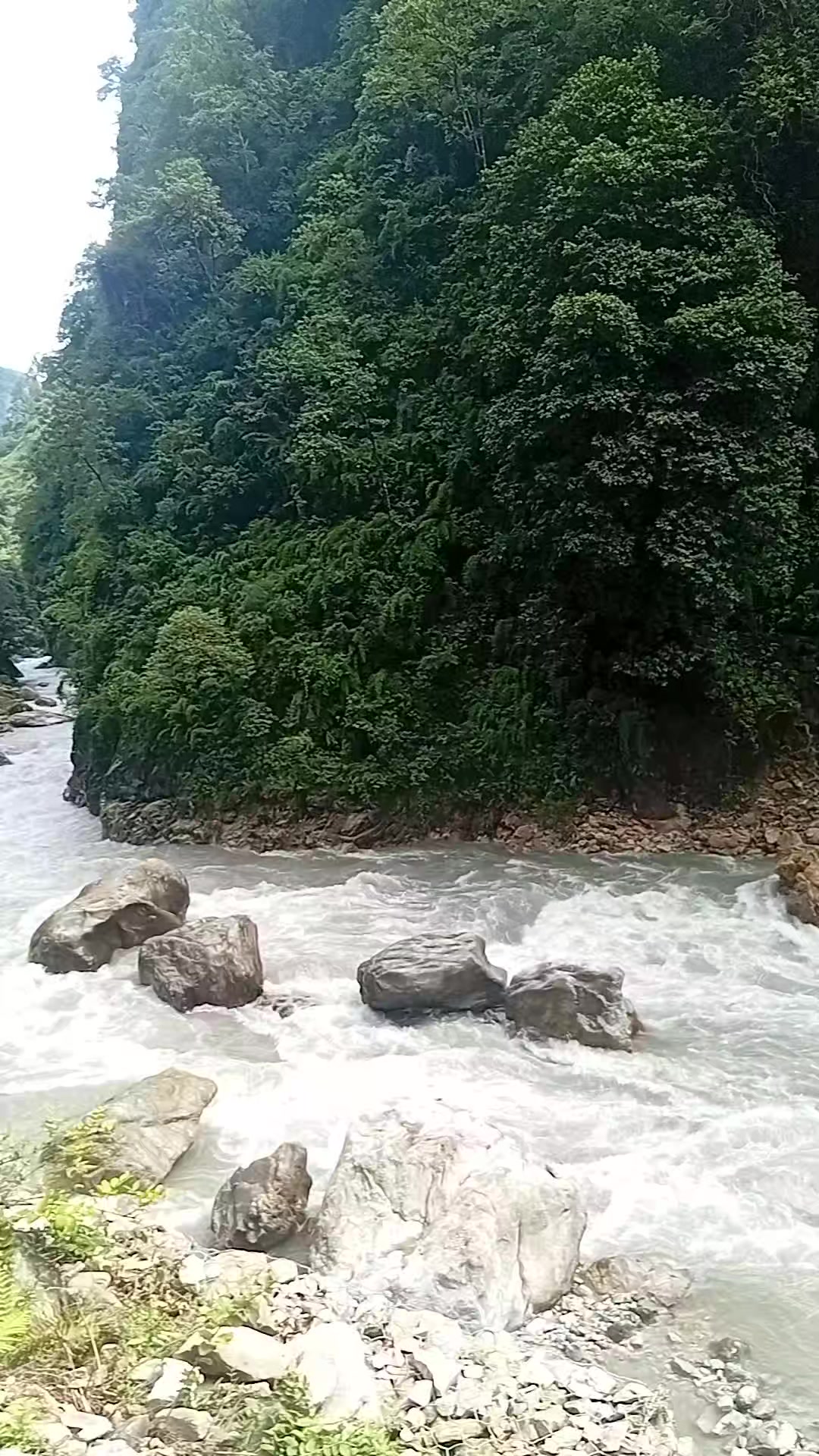 @Bharat Thapa