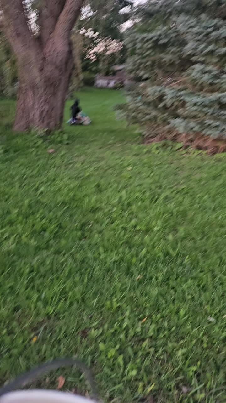 @Our AmerICAN Outdoor Adventure