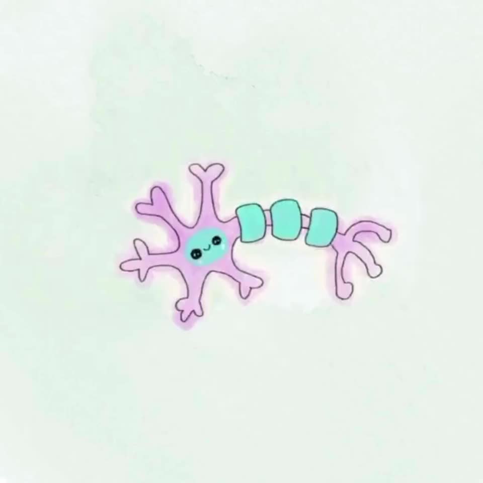 @neuron.erd
