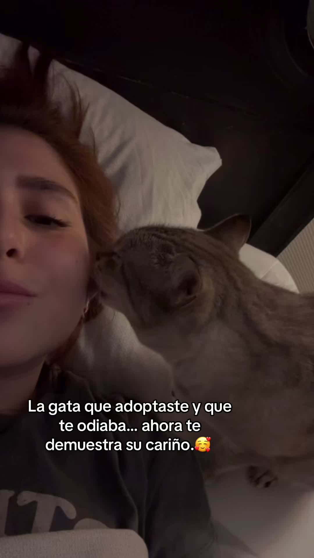 @Kargo32