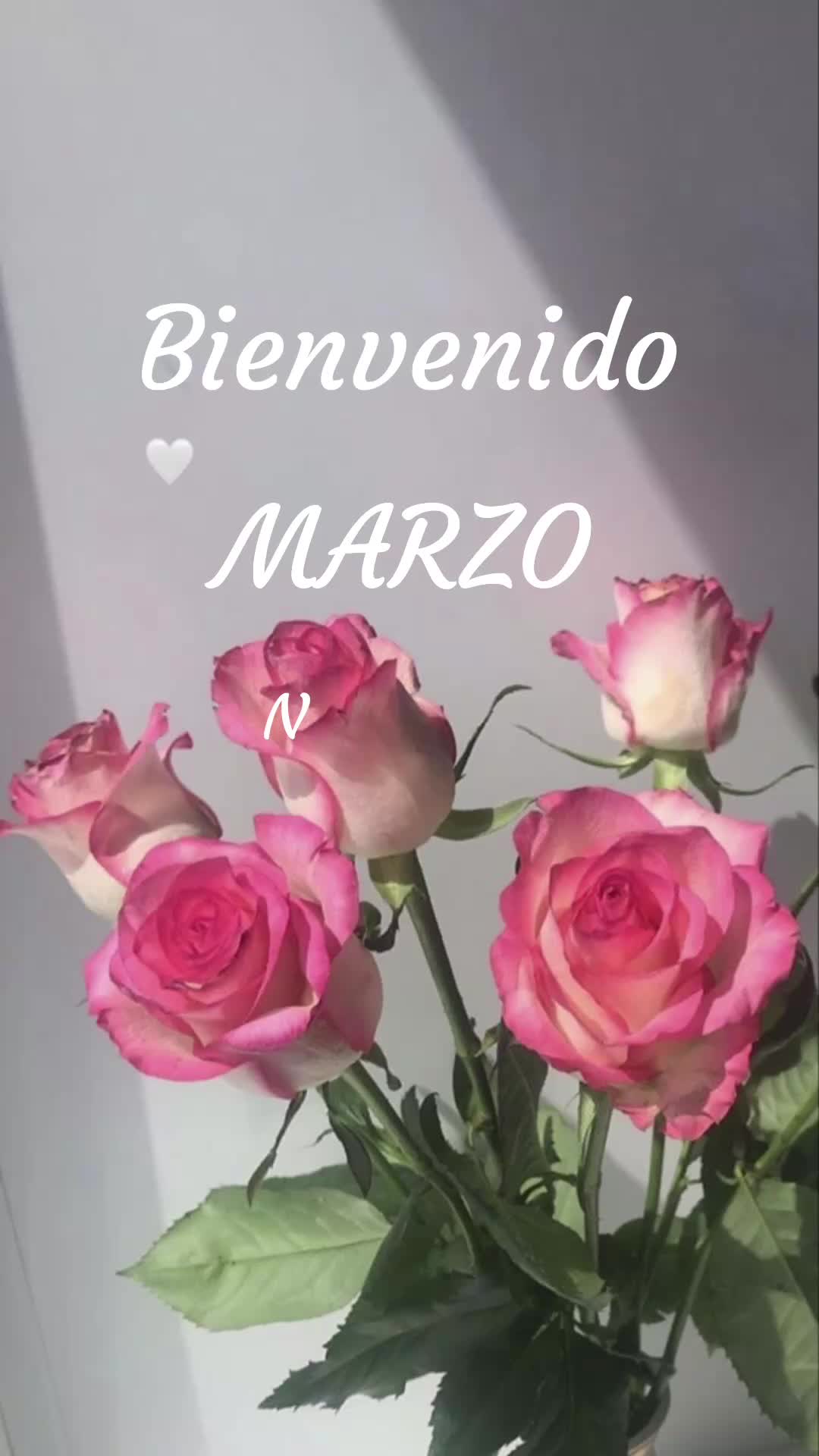@✨♡︎Regalo de vida♡︎✨