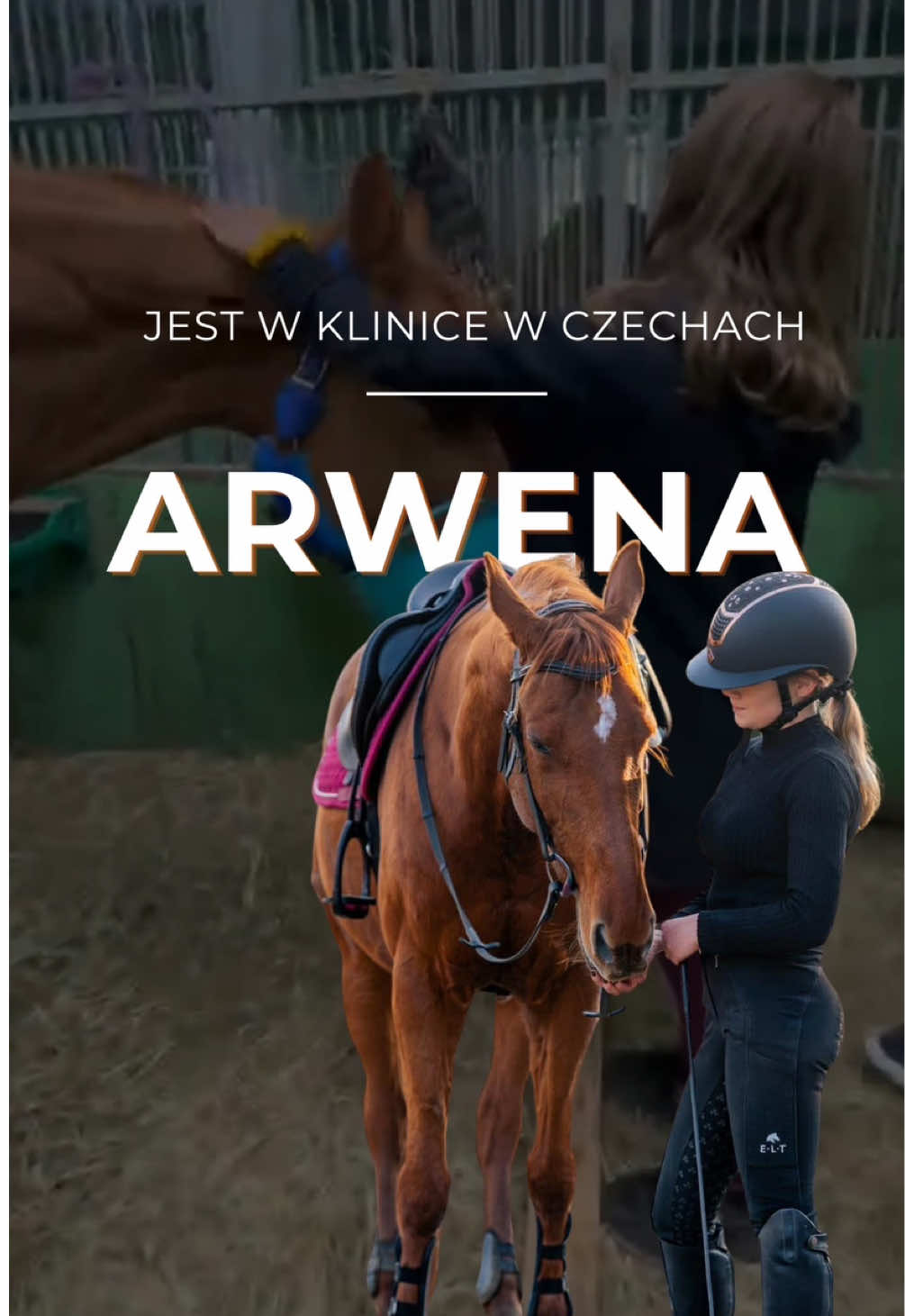 @Harmonia Jeździectwa