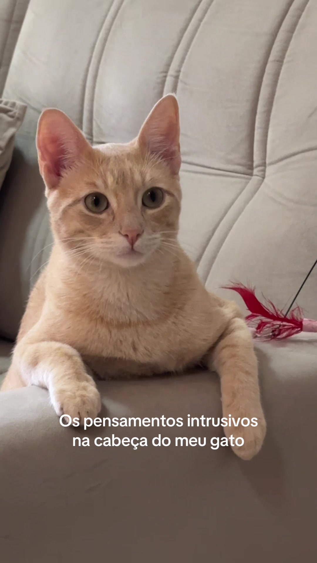 @Mônica Frutuoso