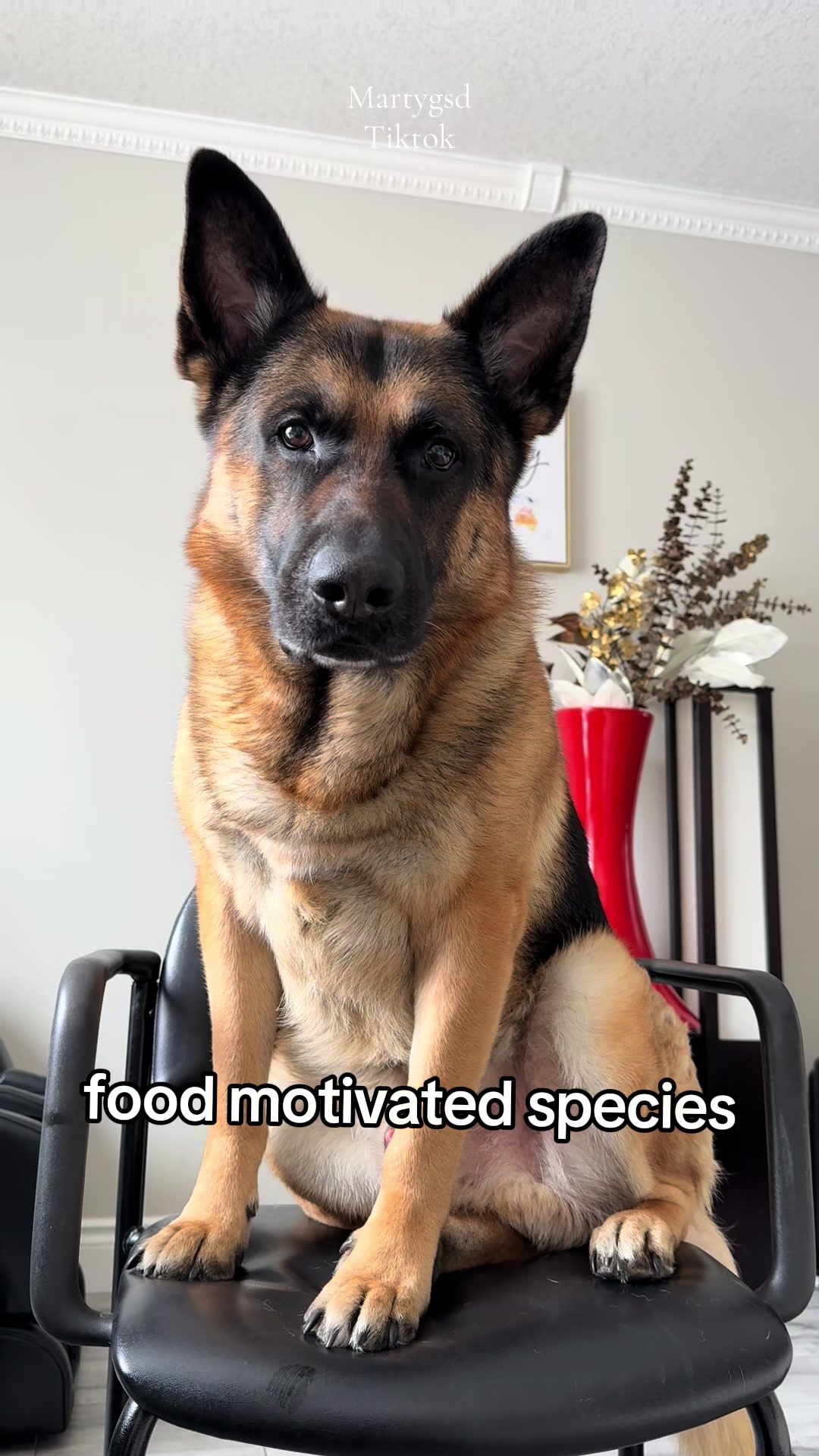@Martygsd