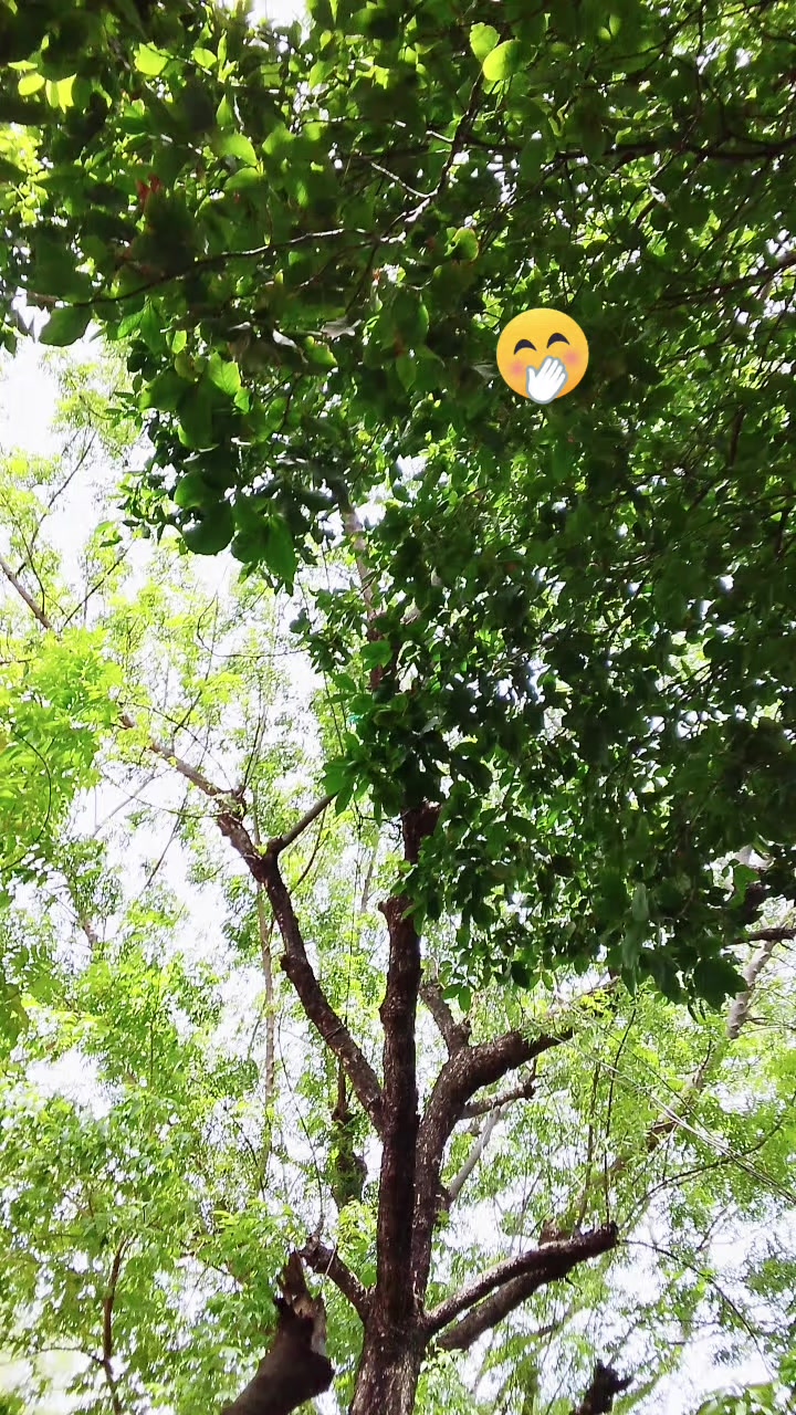 @🥰azucena A 🇳🇮🐰🦁