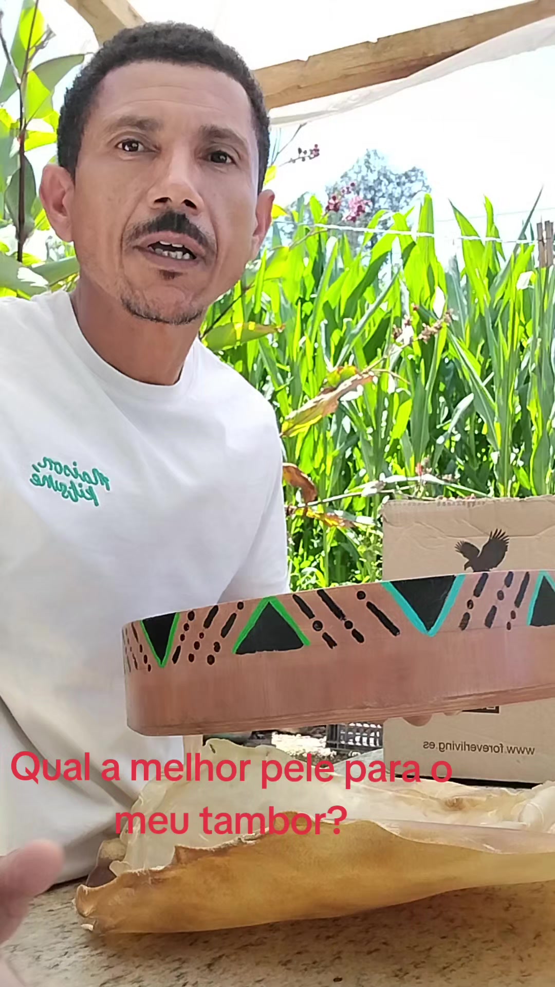 @Osmar Pereira