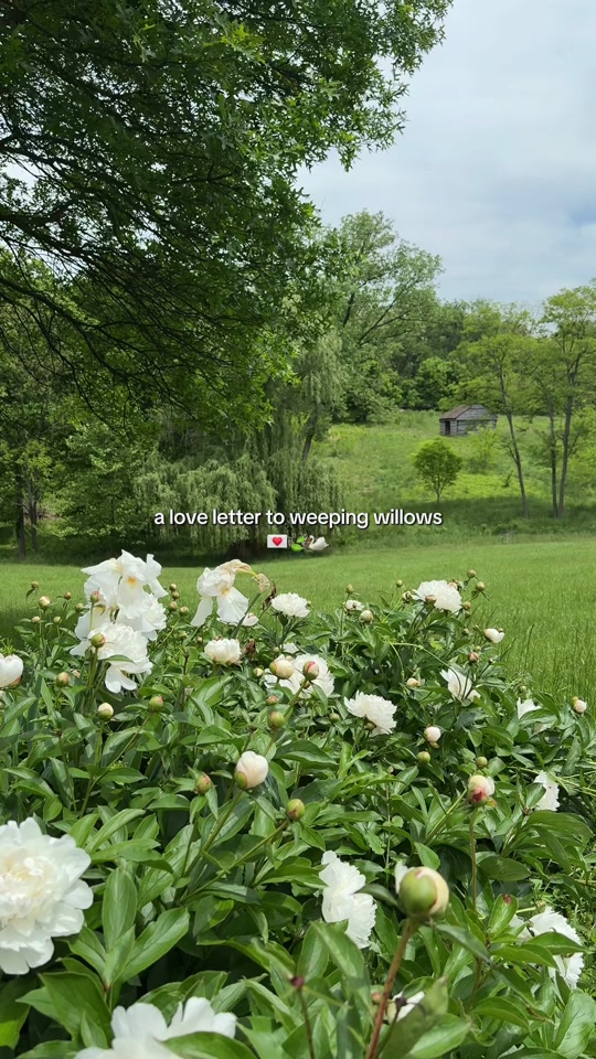 @kalena💐🧺